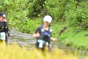 BIB: 
                            <button type="button" onclick="openModal(13435972)" class="btn btn-primary btn-sm float-right btn-popup" data-toggle="modal" data-target=".modal-high-quality">
                        <i class="fas fa-shopping-cart"></i> Add to Cart
                    </button>
                                            <button type="button" onclick="isThisMe(13435972, true)" class="btn btn-success btn-sm float-right btn-popup btn-isme hidden" data-toggle="tooltip" data-placement="bottom" title="นี่คือรูปของคุณใช่ไหม คลิกที่นี่เพื่อเอาเข้าอัลบั้ม">
                        <i class="fas fa-plus"></i> Add to album
                    </button>
                    <button type="button" onclick="isThisMe(13435972, false)" class="btn btn-warning btn-sm float-right btn-popup btn-isnotme hidden">
                        <i class="fas fa-ban"></i> Remove from album
                    </button>